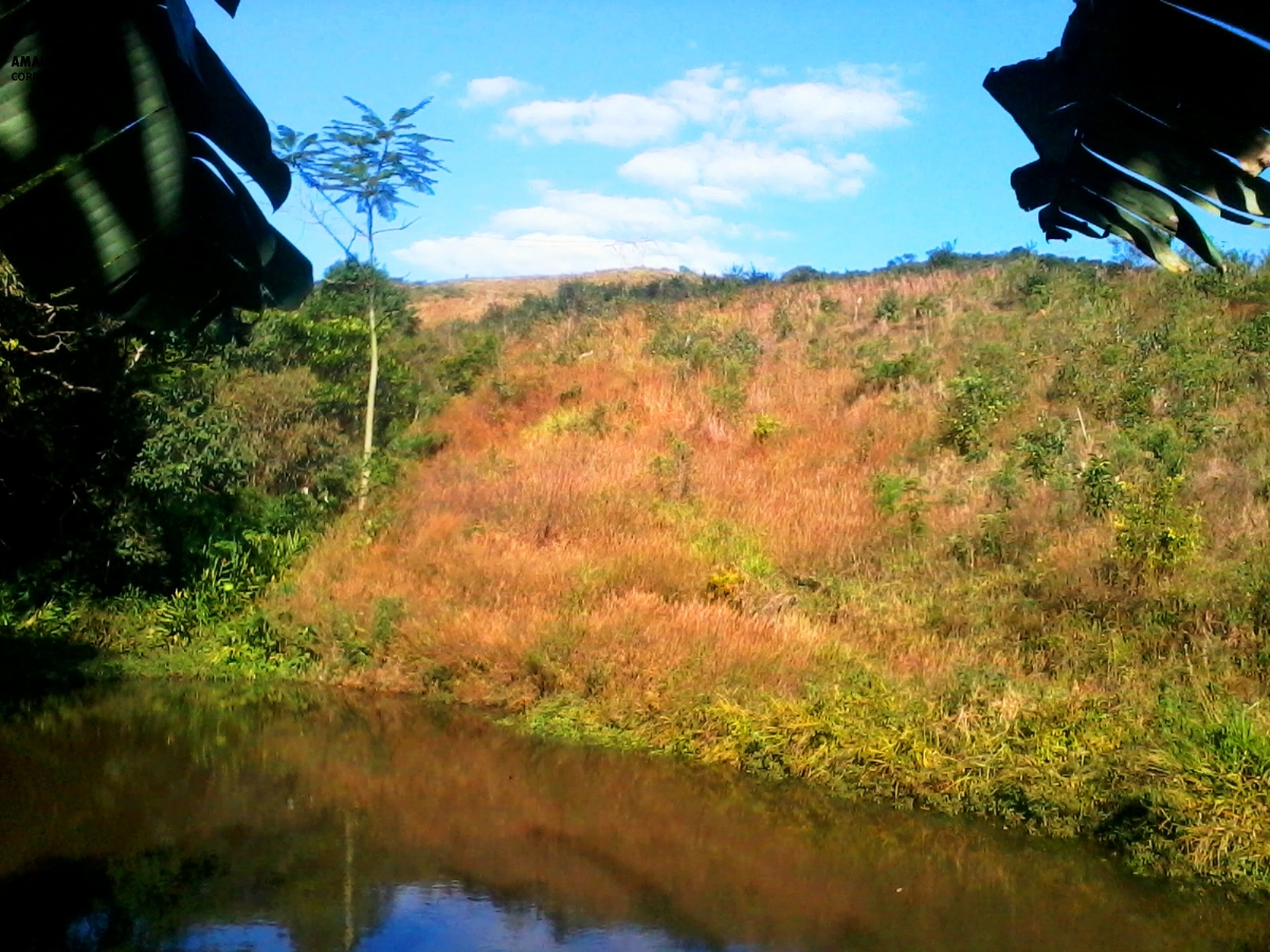 Chácara em , São Roque - 200mil m² otimo p/ criar  bois/carneiro - Foto 3